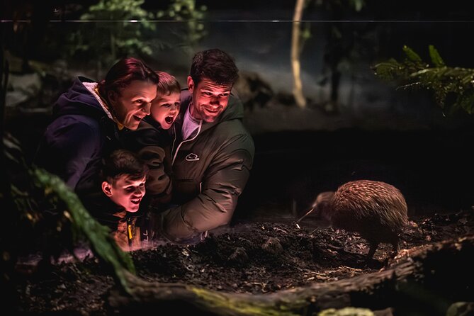 Kiwi Park Queenstown Admission - Start with the conservation show