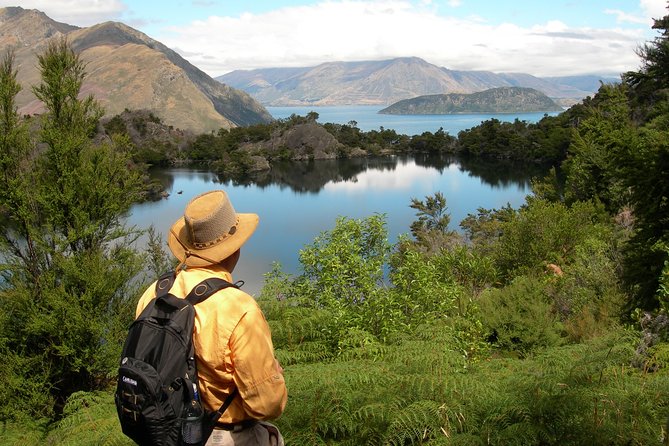 Lake Cruise & Mou Waho Island Nature Walk - Crossing Lake Wanaka by boat