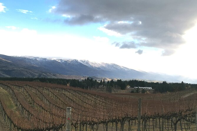 Lake Dunstan Cycleway with E-Bike hire and Shuttle service - Views, exposure, and what to pack