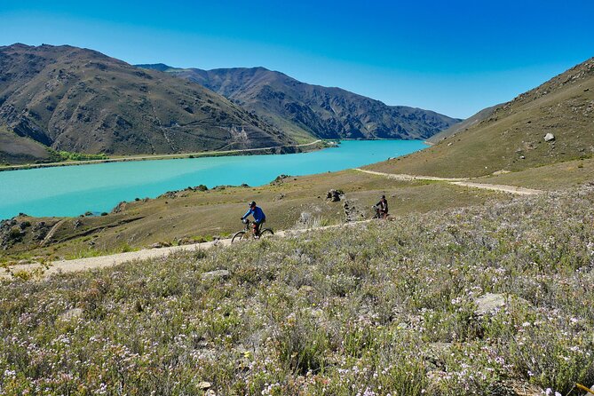 Lake Dunstan Discovery Day Tour by eBike with Shuttle - Key points before you book
