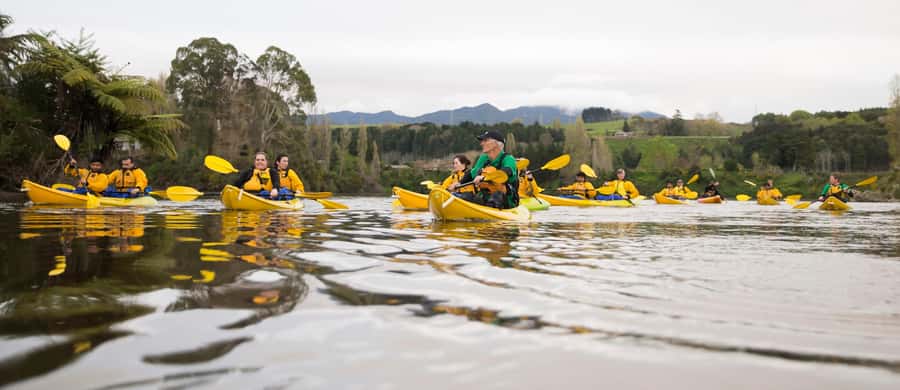 Lake Karapiro: Evening Kayak Glowworm Tour - Key points to know before you book