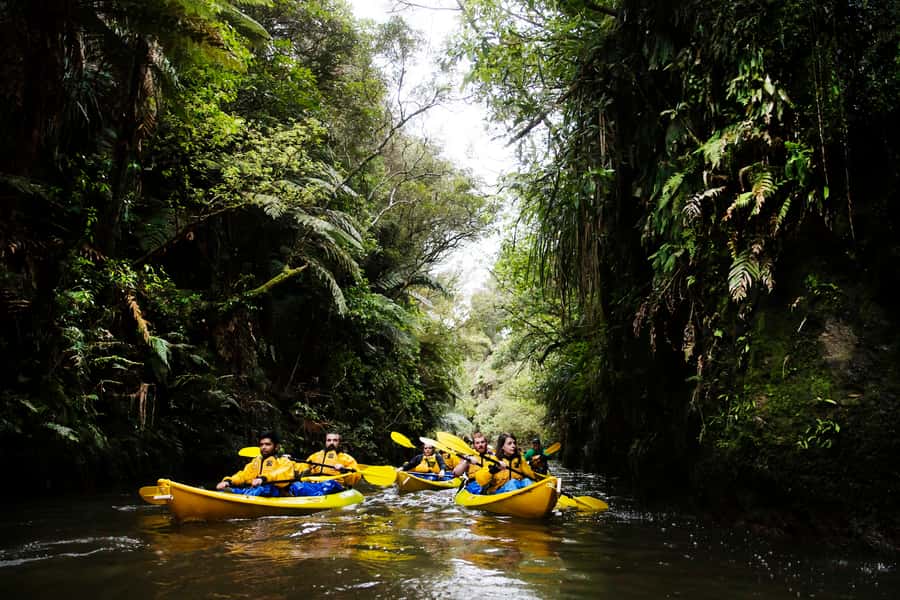 Lake Karapiro: Evening Kayak Glowworm Tour - Entering the Pokaiwhenua Stream