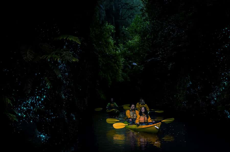 Lake Karapiro: Evening Kayak Glowworm Tour - Is $89 good value for three and a half hours?