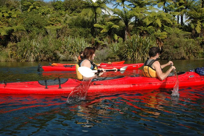 Lake Rotoiti Evening Kayak Tour including Hot Springs, Glowworm Caves and BBQ Dinner - A lakeside Kiwi BBQ at sunset