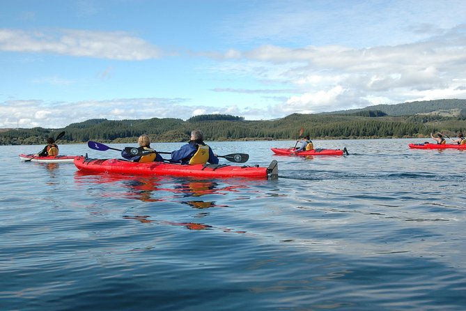 Lake Rotoiti Guided Hot Pools Kayak Trip - The optional cave and possible glow worms