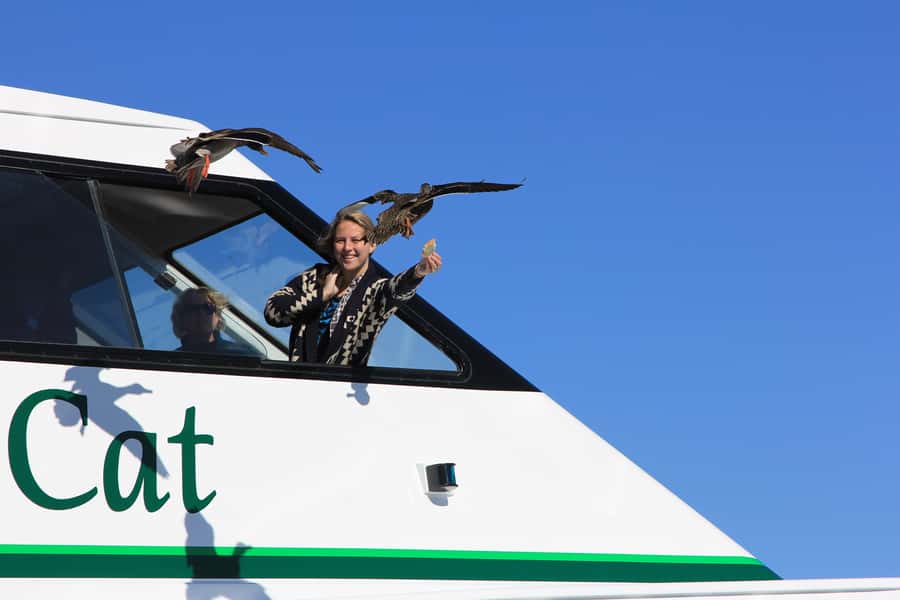 Lake Taupo: 1.5-Hour Maori Rock Carvings 5:00 PM Cruise - Is $35 good value for 90 minutes?