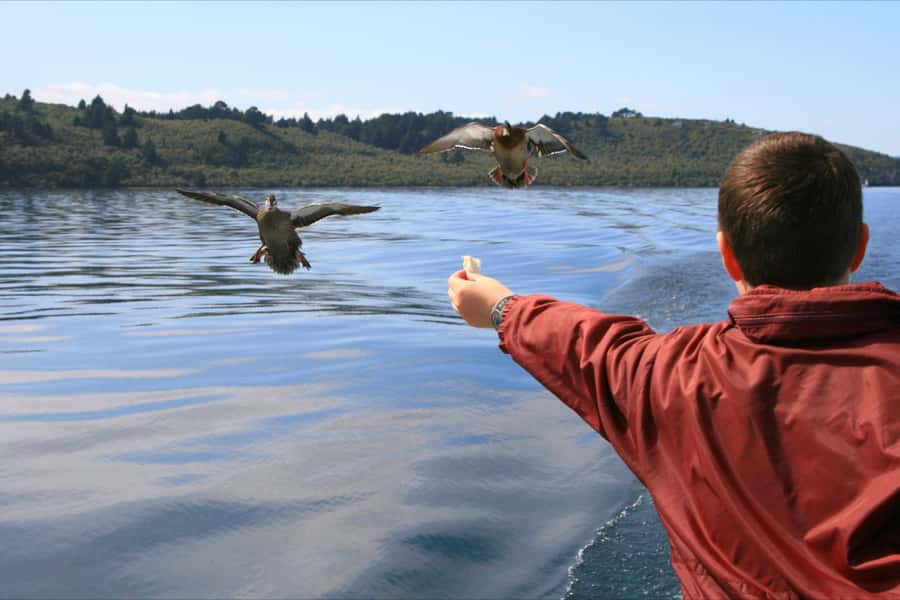 Lake Taupo: 1.5-Hour Māori Rock Carvings Cruise - Boarding the two-story Chris Jolly Outdoors catamaran