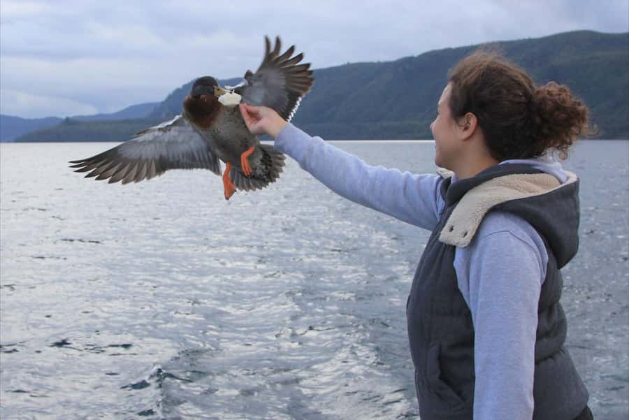 Lake Taupo: Maori Rock Carvings 10.30 AM 1.5-Hour Cruise - The optional trout fishing demonstration
