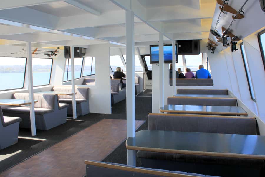 Lake Taupo: Maori Rock Carvings 8.30 AM 1.5-Hour Cruise - Who will enjoy this Taupo cruise most?