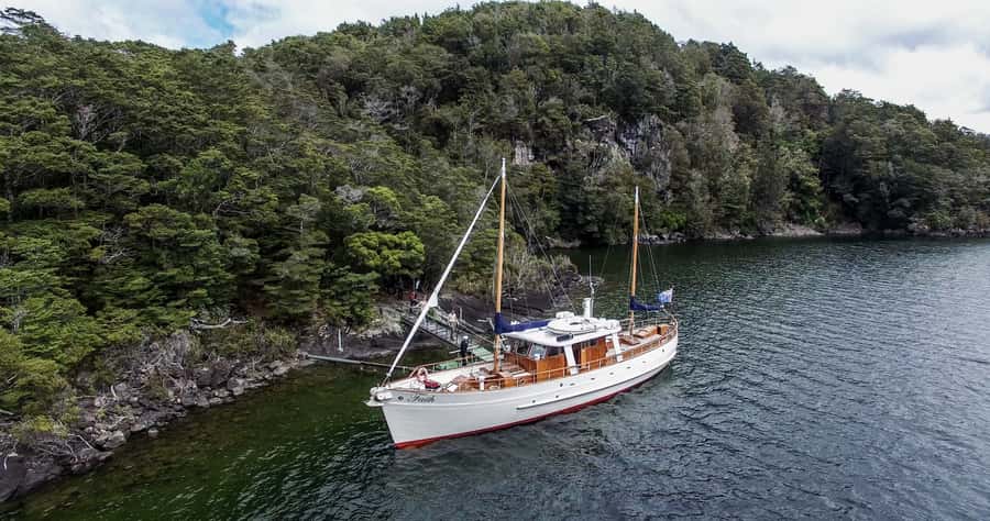 Lake Te Anau: 3-Hour Boat Cruise with Guided Walk - Quiet time in a sheltered cove