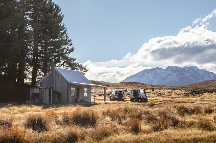 Lake Tekapo: Glaciers, Mountains, and Landscapes Scenic Tour - Private sheep stations and working country