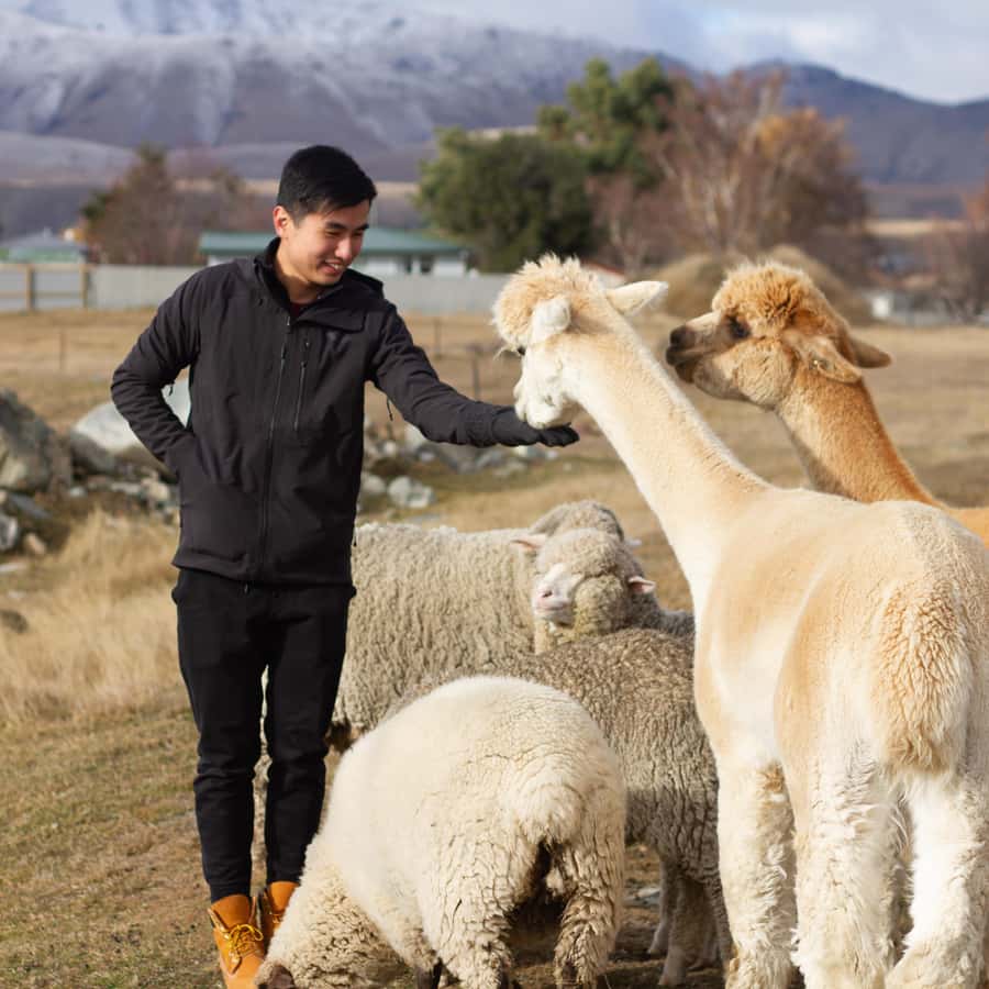 Lake Tekapo: Guided Petting Zoo Visit - Fifteen minutes of free time