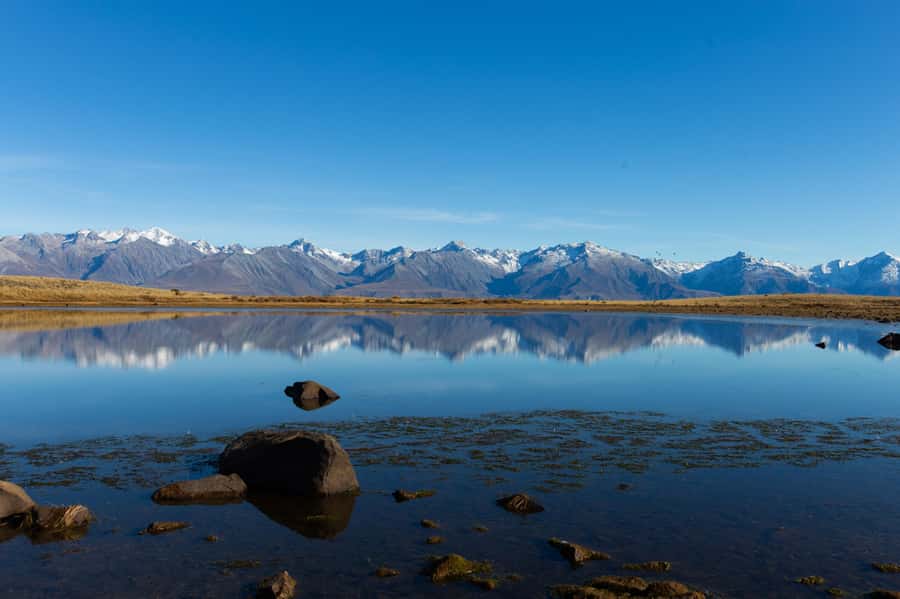 Lake Tekapo High Country Farm Tour (Carbon Positive) - Honey, spring water, and a private Mt. John view