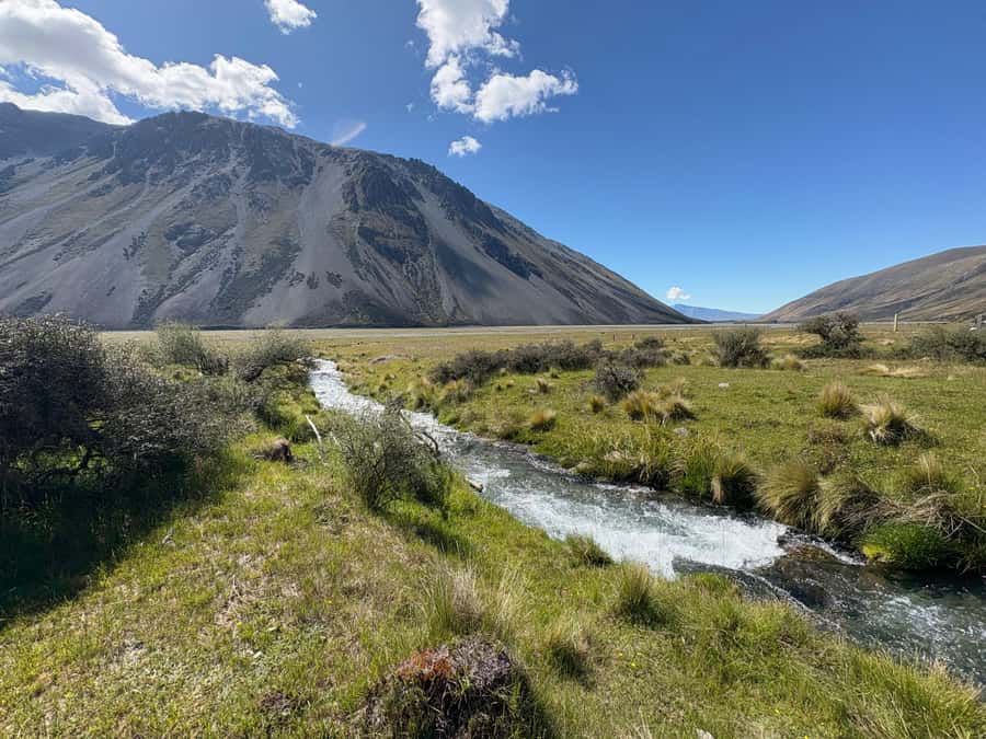 Lake Tekapo Scenic 4WD Cass Valley Wilderness Tour - Key points to know before booking