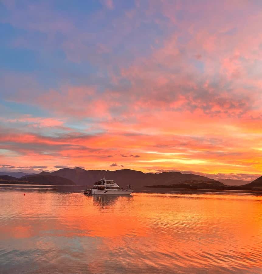 Lake Wanaka Happy Hour Cruise - Who will enjoy this cruise most?