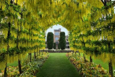 Larnach Castle and Gardens Admission Ticket