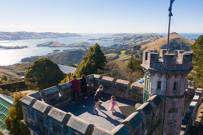 Larnach Castle & Otago Wildlife Cruise from Dunedin - Key points to know before you book