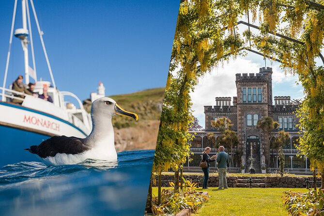 Larnach Castle & Otago Wildlife Cruise from Dunedin - Why this five-hour combination works