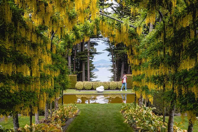 Larnach Castle & Otago Wildlife Cruise from Dunedin - From castle rooms to Southern Ocean wildlife