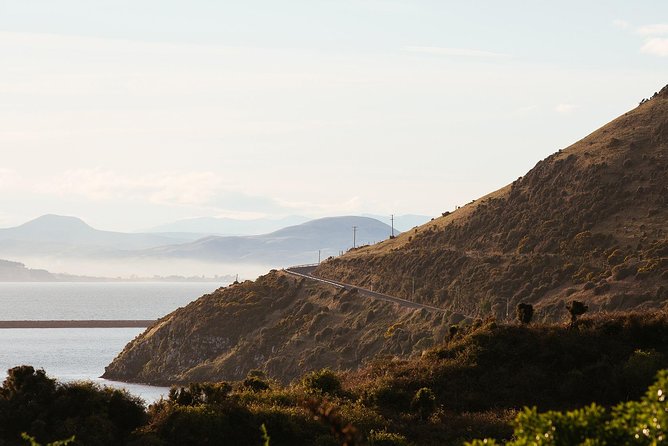 Larnach Castle & Otago Wildlife Cruise from Dunedin - Who will enjoy this tour most