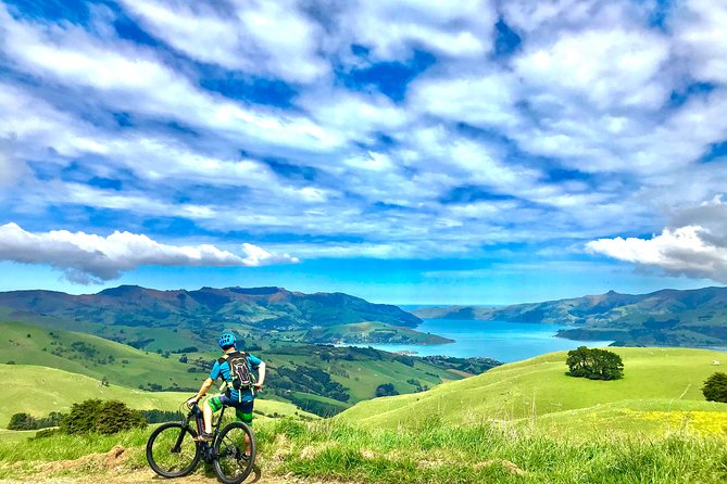 Lava Loop- Guided electric mountain bike tour in Akaroa - Lava Loop at a glance