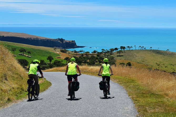 Lava Loop- Guided electric mountain bike tour in Akaroa - Riding the rim above the harbour