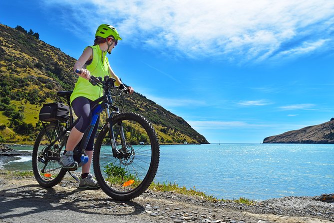 Lava Loop- Guided electric mountain bike tour in Akaroa - What the $192 price buys you