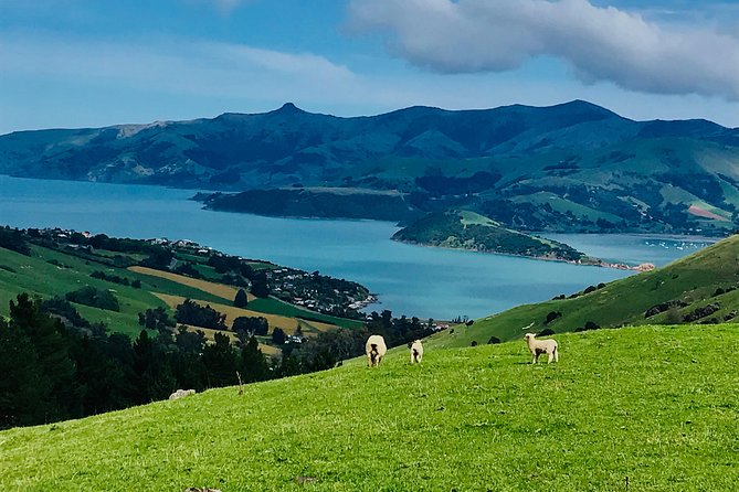 Lava Loop- Guided electric mountain bike tour in Akaroa - Meeting Greville and getting ready at Rue Lavaud