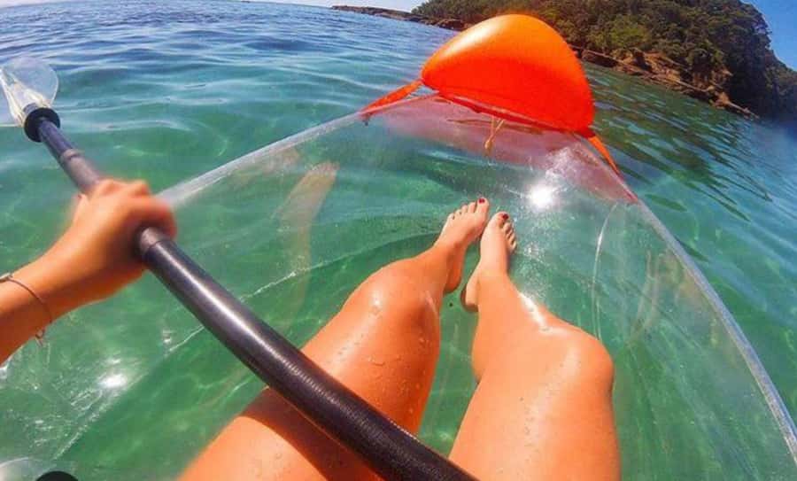 Leigh: Goat Island Clear Kayak Rental - Key points to know before you book