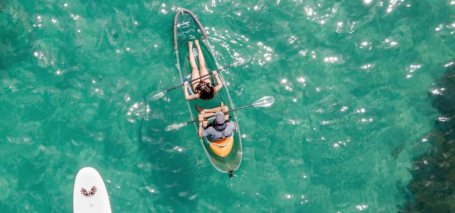 Leigh: Goat Island Clear Kayak Rental - Why the clear kayak changes the Goat Island outing