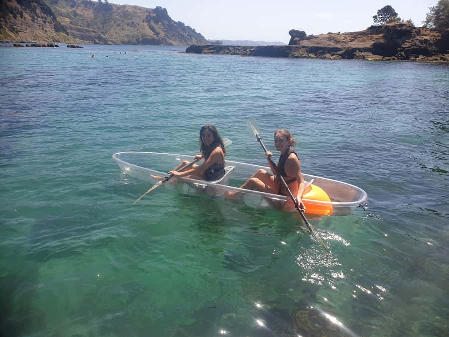 Leigh: Goat Island Clear Kayak Rental - Fish to watch for beneath and beside you