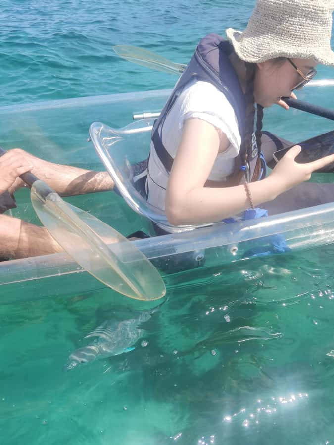 Leigh: Goat Island Clear Kayak Rental - What the 60 minutes really gives you