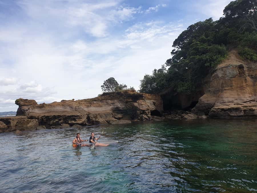 Leigh: Goat Island Clear Kayak Rental - Who will enjoy this most