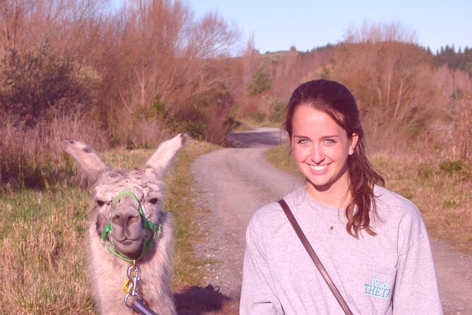 Llama Trek (Taster) - Kowhai River Valley and Native Woodland Tour - Following the Kowhai River for 90 Minutes