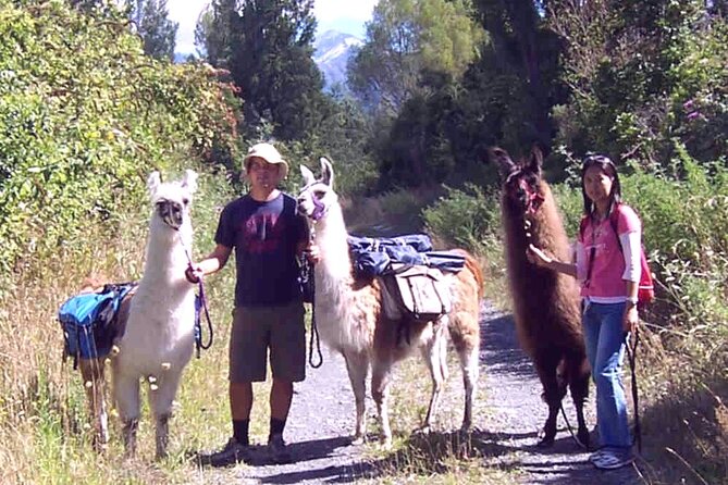 Llama Trek (Taster) - Kowhai River Valley and Native Woodland Tour - Native Birds, Quiet Moments, and the Sense of Place