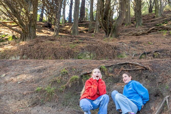 Lord of The Rings Full Day locations tour incl Weta & keepsake - Oriental Bay and the ride back through the city