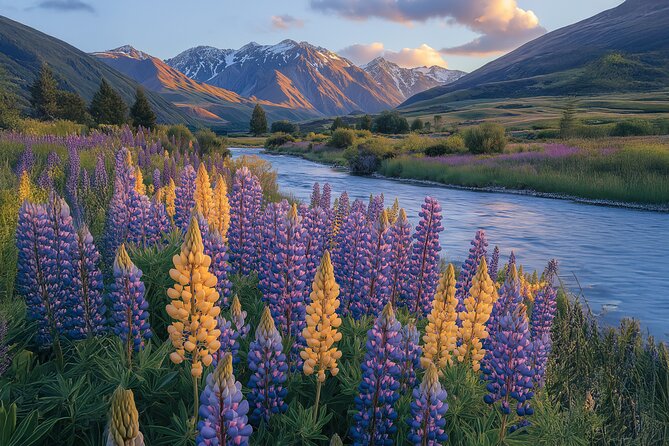 Lord of the Rings Scenic Half Day Tour from Queenstown - A small group makes the guide especially important
