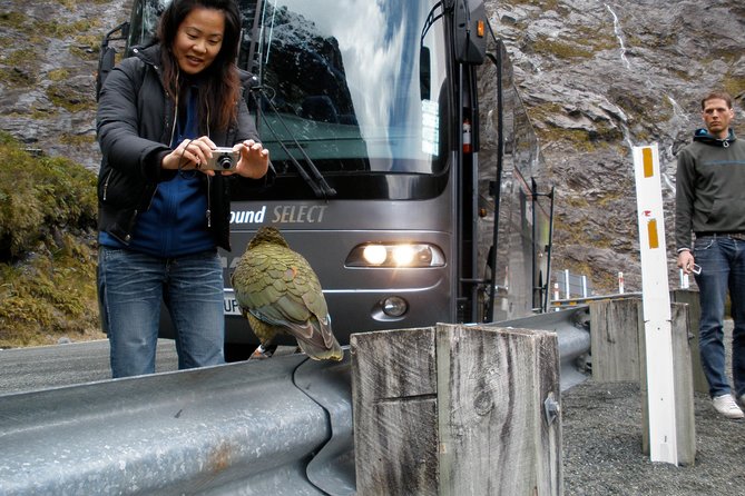 Luxury Milford Sound Coach and Scenic Cruise - Why this is such a long but rewarding Milford day