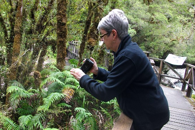 Luxury Milford Sound Coach and Scenic Cruise - Milford Sound is the payoff