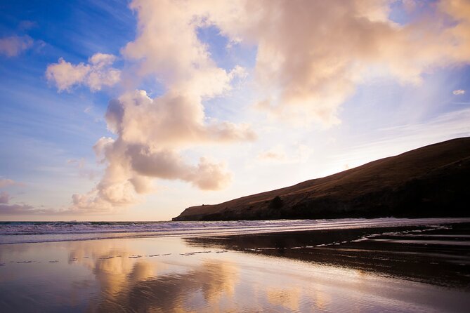 Luxury Private Guided Crater Rim Walk on Banks Peninsula - Walking the 8 km Godley Head loop