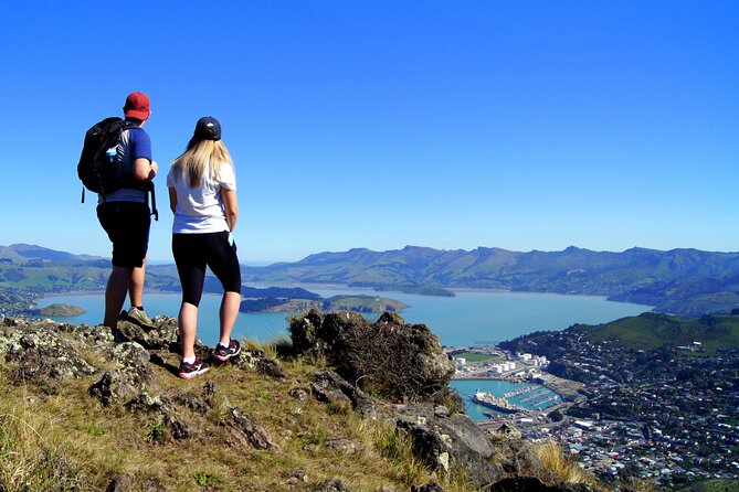 Luxury Private Guided Crater Rim Walk on Banks Peninsula - Who will enjoy this Banks Peninsula walk?