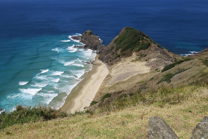 Luxury Private Transfers: Auckland Airport to City - What the service feels like in practice