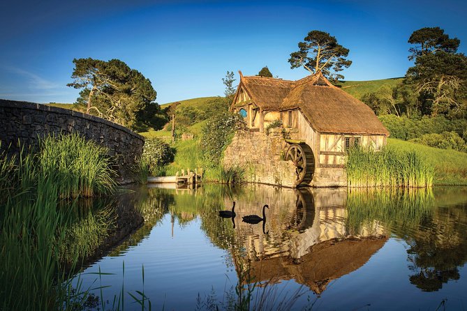 Luxury Private Transfers: Auckland Airport to City - Who should book this transfer?