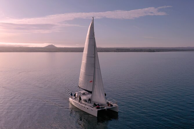 Luxury Sailing - Māori Rock Carvings - Taupo Sailing Adventures - Drinks, snacks, and the sunset option