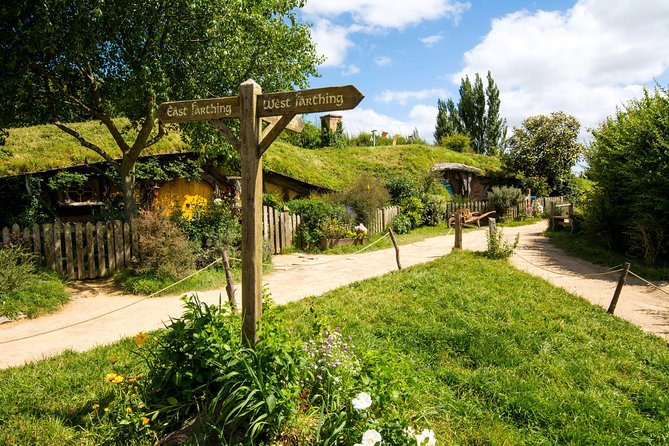 Luxury Small group tour from Auckland to Hobbiton Movie Set - Key points at a glance