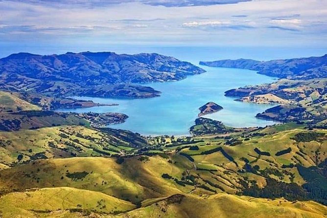 Lyttelton Cruise Excursions: Christchurch Sightseeing with Sheep Farm - Toby Hill Farm and the working life behind New Zealand wool