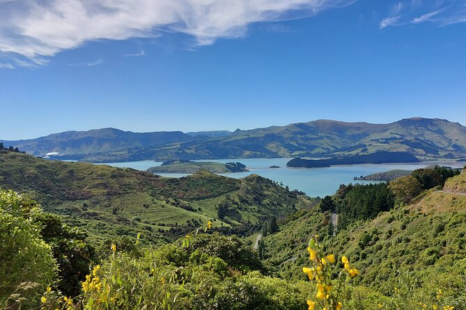 Lyttelton Shore Excursion: Christchurch Sightseeing with Jet Boating - Starting at Lyttelton Port at 8:30 a.m.