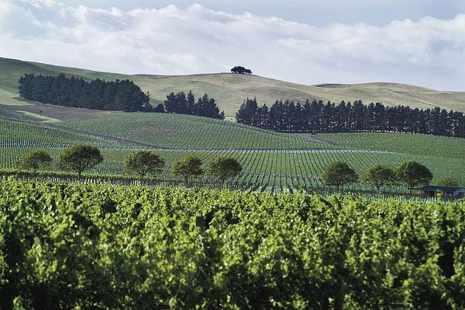 Lyttelton Shore Excursion: Christchurch & Willowbank Tour - What the guides add to the experience