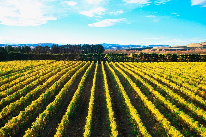 Lyttelton Shore Excursion - City Highlights & Waipara Wine Tour - Key Points to Know Before You Book
