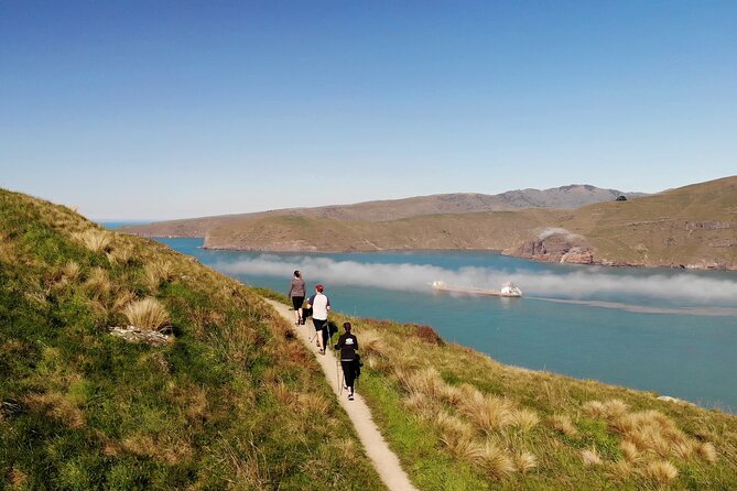 Lyttelton Shore Excursion - Guided Walking Tour and Picnic - Key points to know before you book